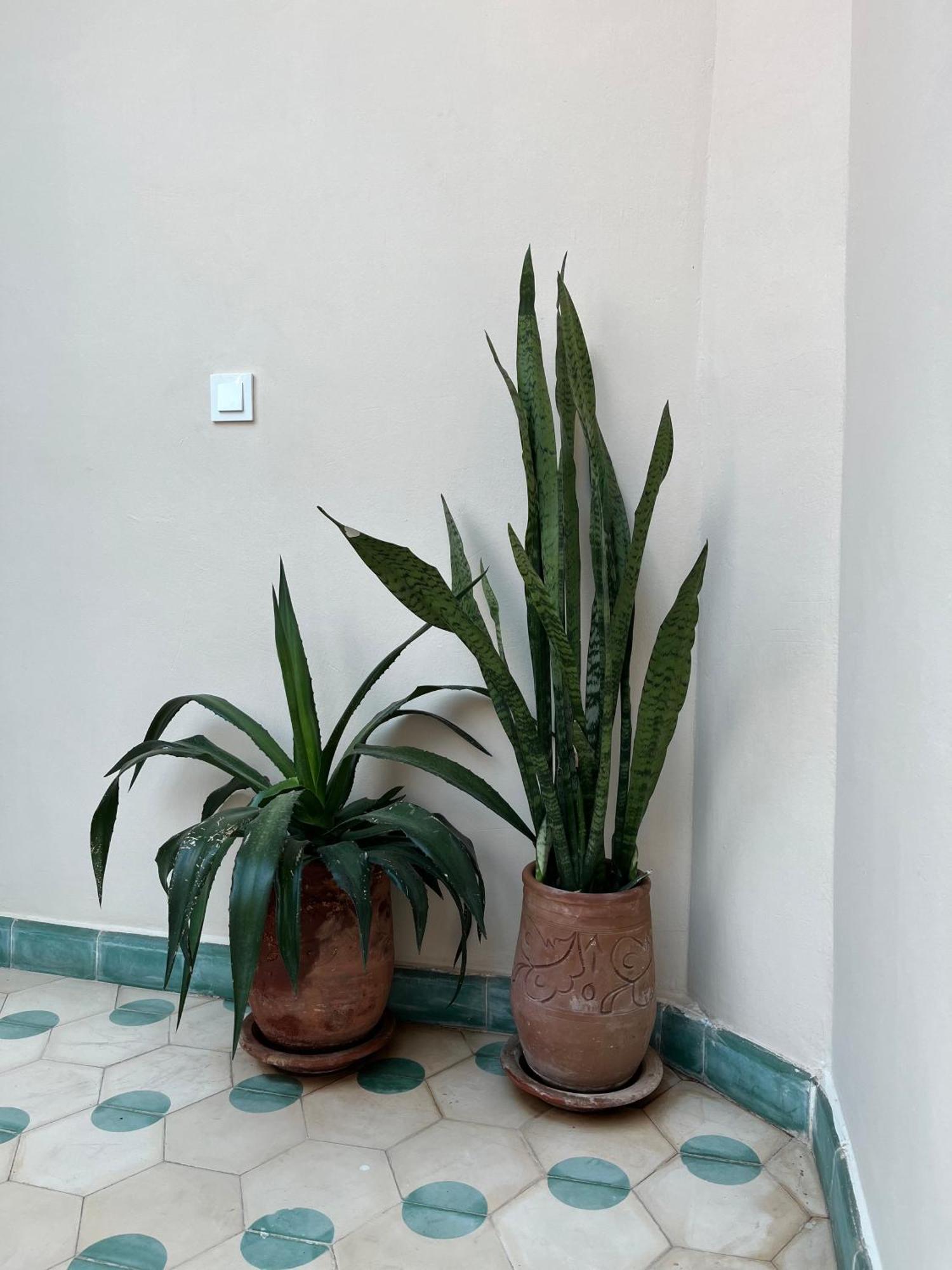 Bed & Breakfast Imndi Marrakesh